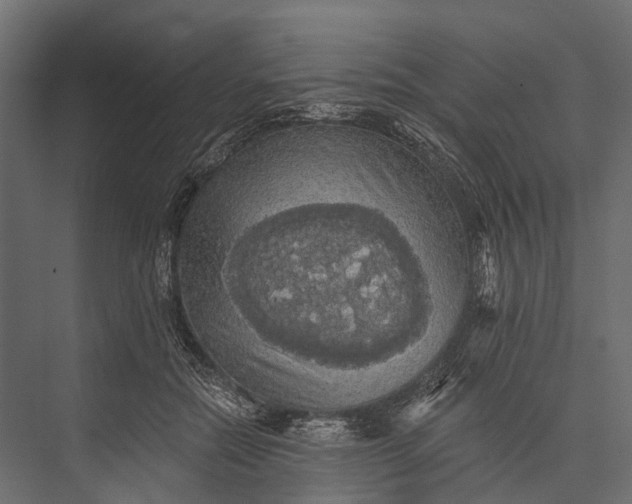 X0000076060554200610061539