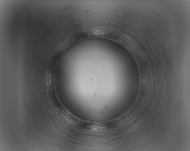 X0000076060555200610061539