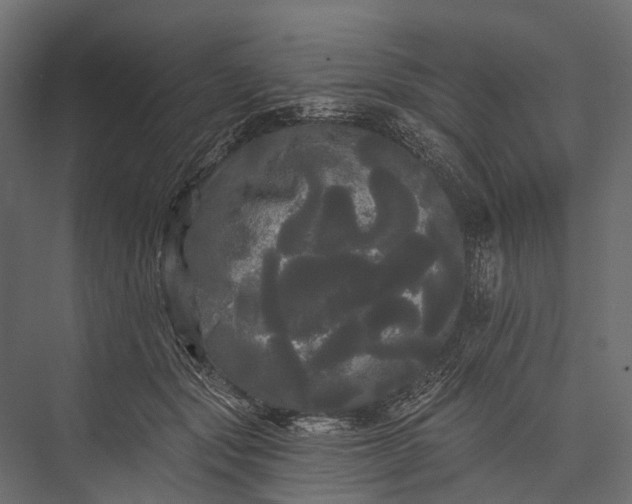 X0000076060557200610061539