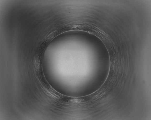 X0000076060558200610061539