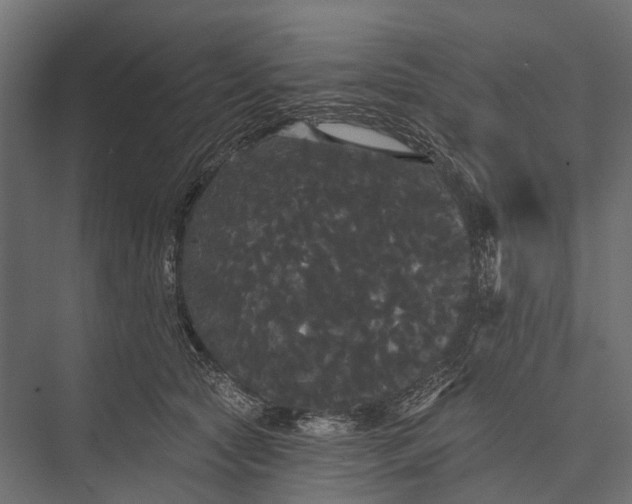 X0000076060561200610061539