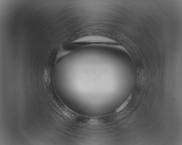 X0000076060562200610061539