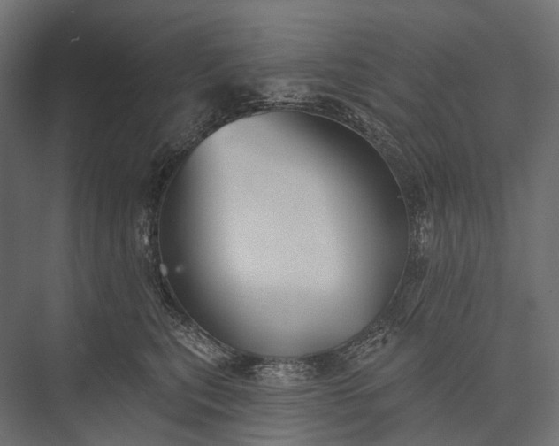 X0000076060567200610061539