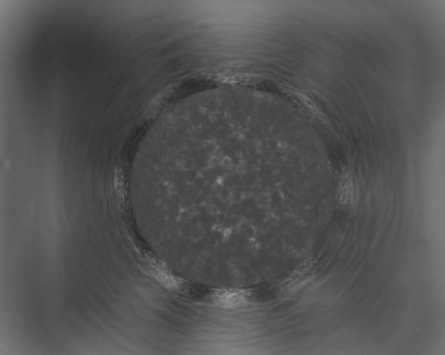 X0000076060569200610061539