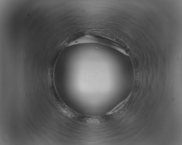 X0000076060572200610061539