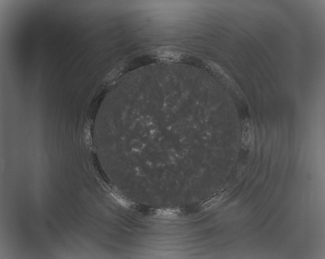 X0000076060573200610061539