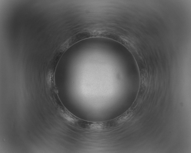 X0000076060574200610061539