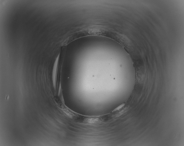 X0000076060575200610061539