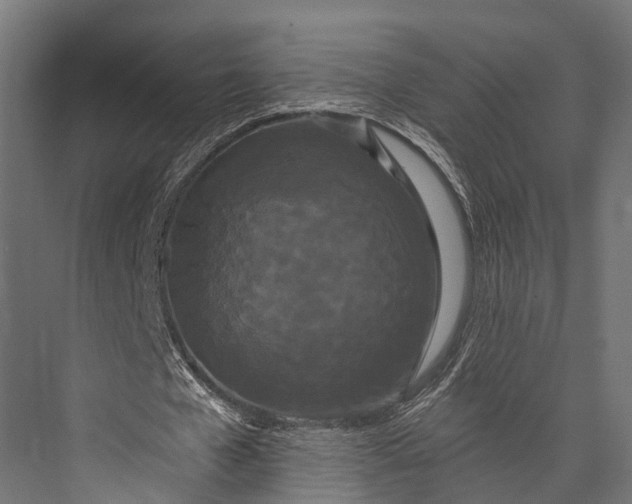 X0000076060577200610061538