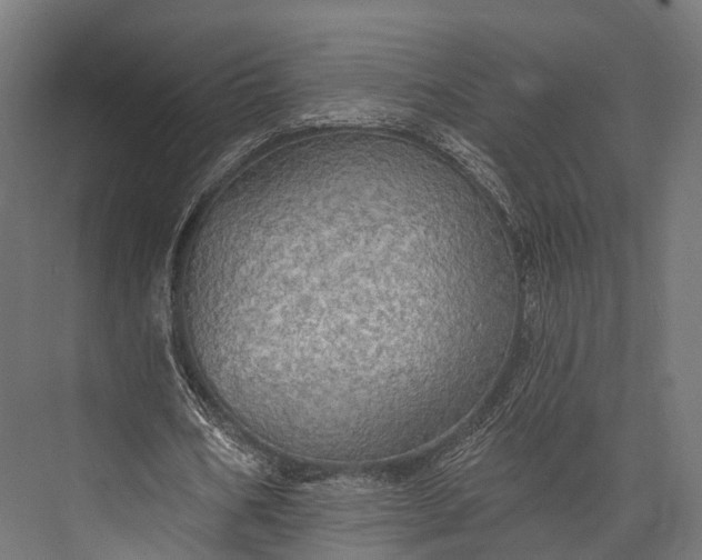 X0000076060578200610061538