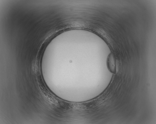 X0000076060579200610061538