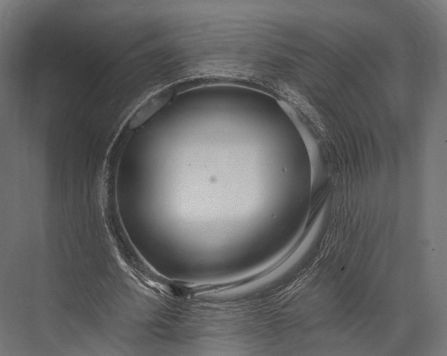 X0000076060580200610061538