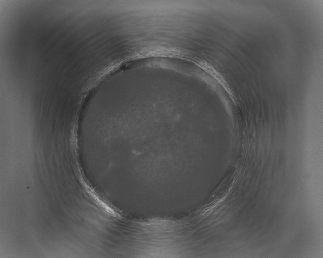 X0000076060581200610061538