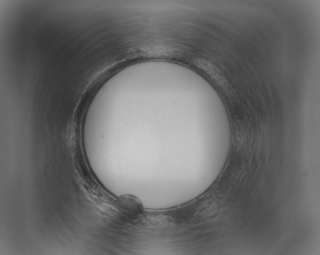 X0000076060583200610061538