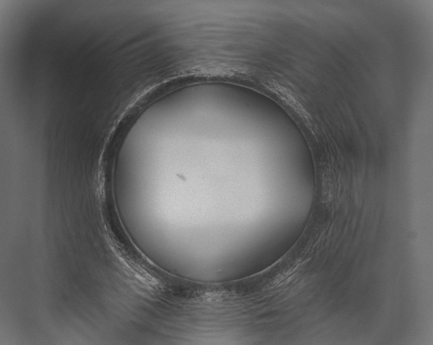 X0000076060584200610061538