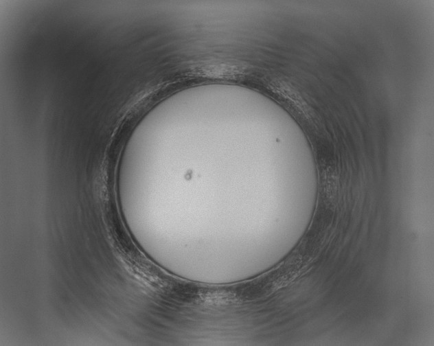 X0000076060587200610061538