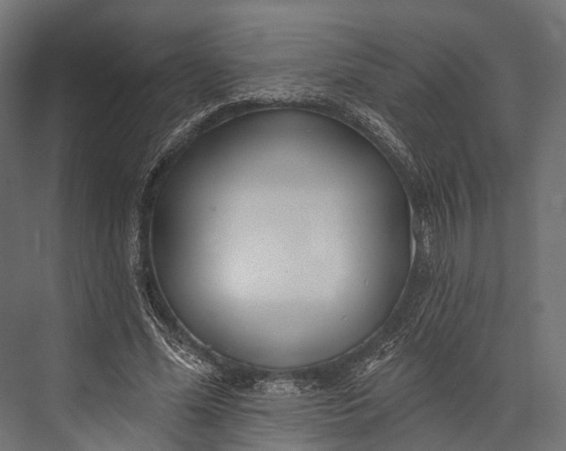 X0000076060588200610061538