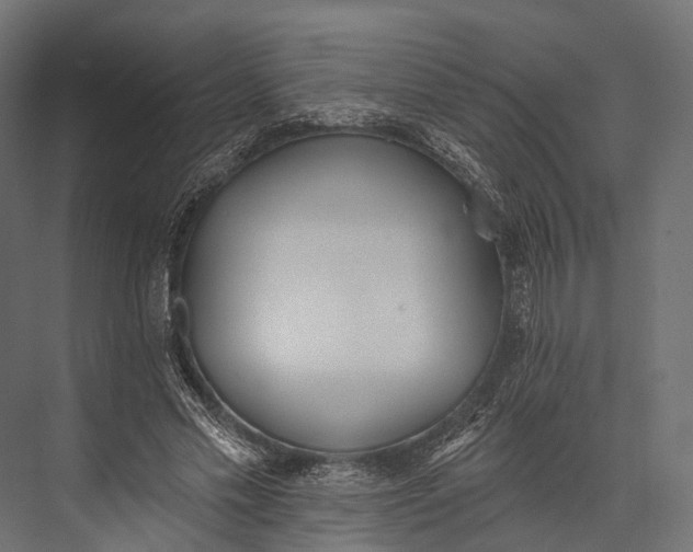 X0000076060589200610061538