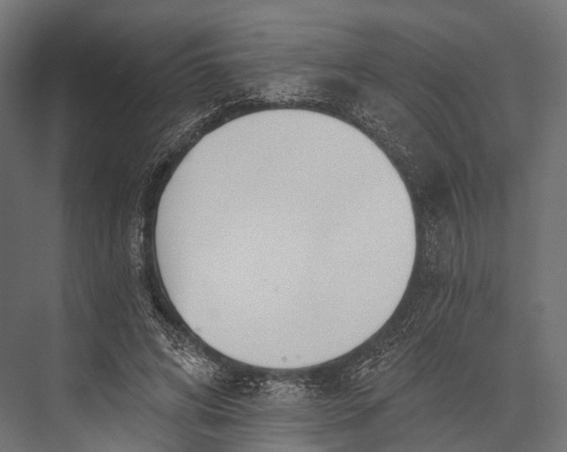 X0000076060592200610061538