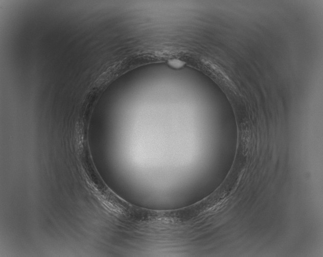 X0000076060593200610061538