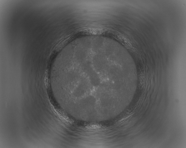 X0000076060594200610061538