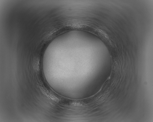 X0000076060596200610061538