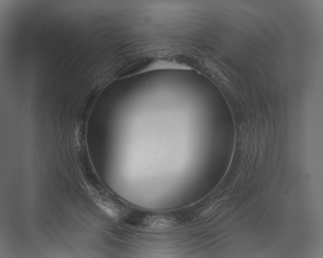 X0000076060597200610061538