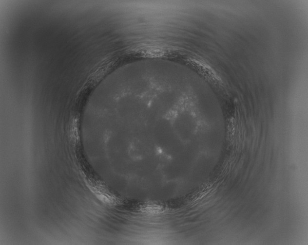 X0000076060598200610061538