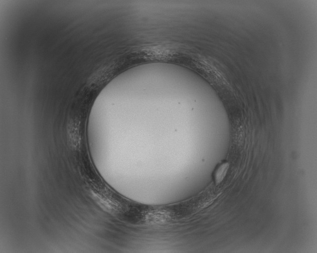 X0000076060599200610061538