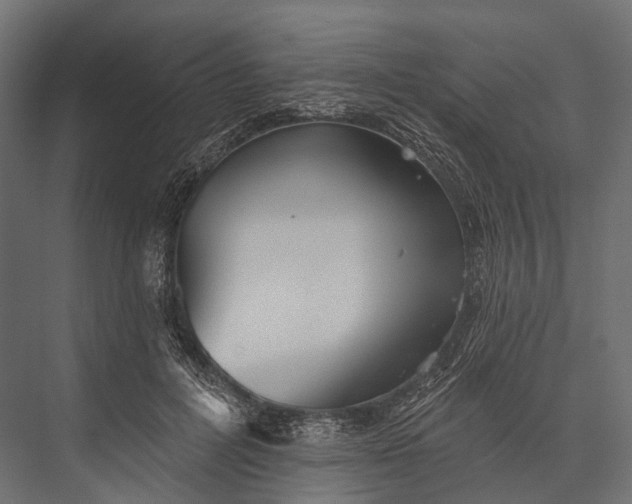 X0000076060600200610061538