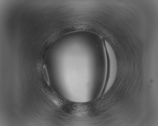 X0000076060601200610061538