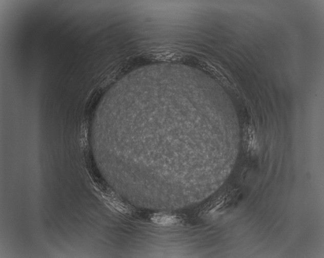 X0000076060602200610061538