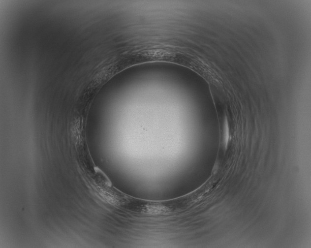 X0000076060605200610061538