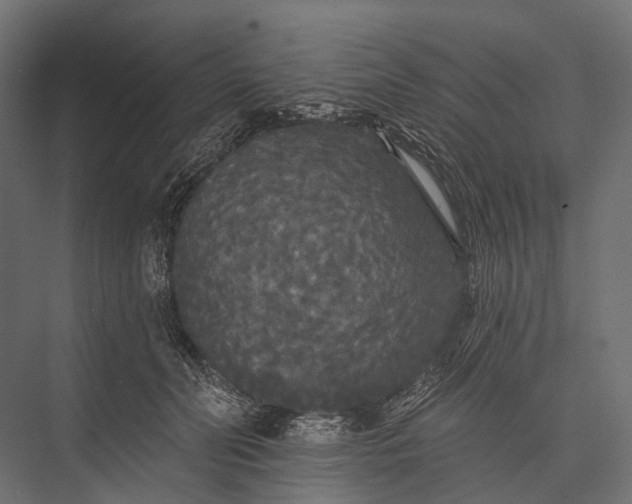 X0000076060606200610061538