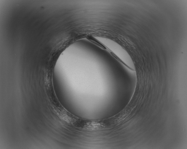 X0000076060607200610061538