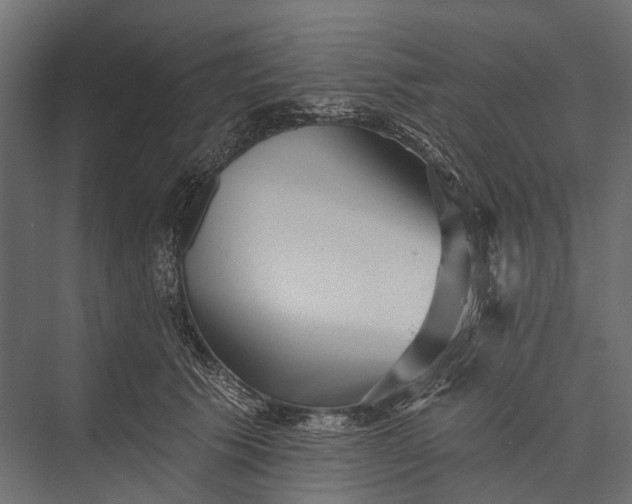 X0000076060609200610061538