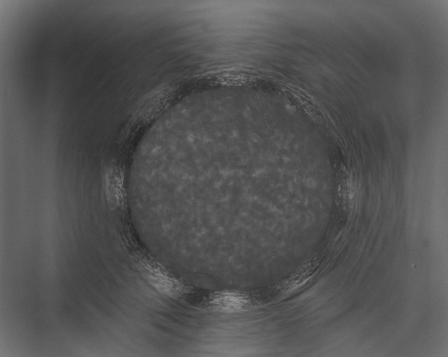 X0000076060610200610061538