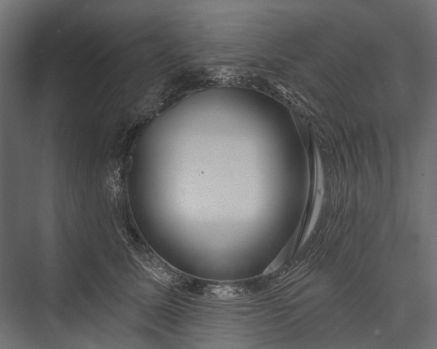 X0000076060611200610061538