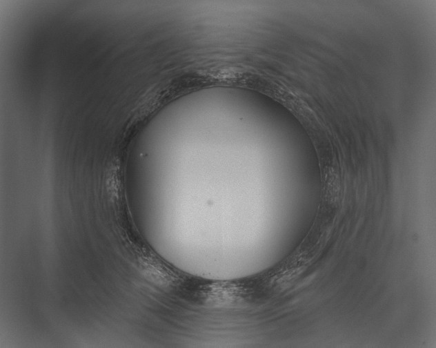 X0000076060612200610061538