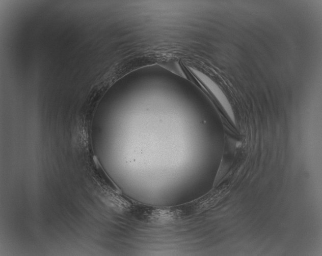 X0000076060613200610061538