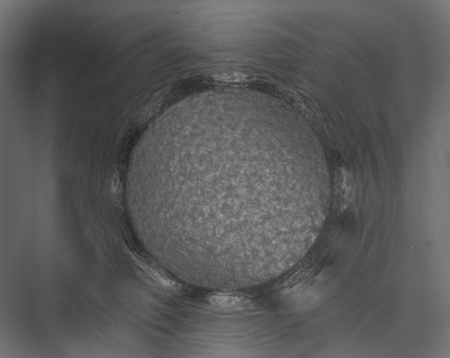 X0000076060614200610061538