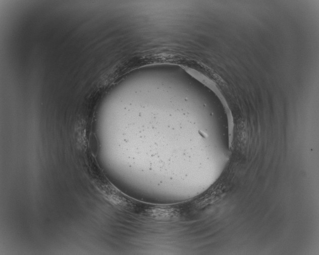 X0000076060615200610061538