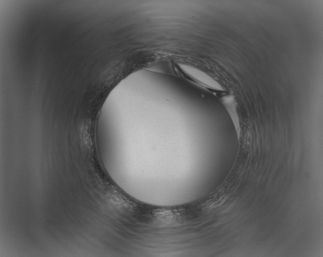 X0000076060616200610061538