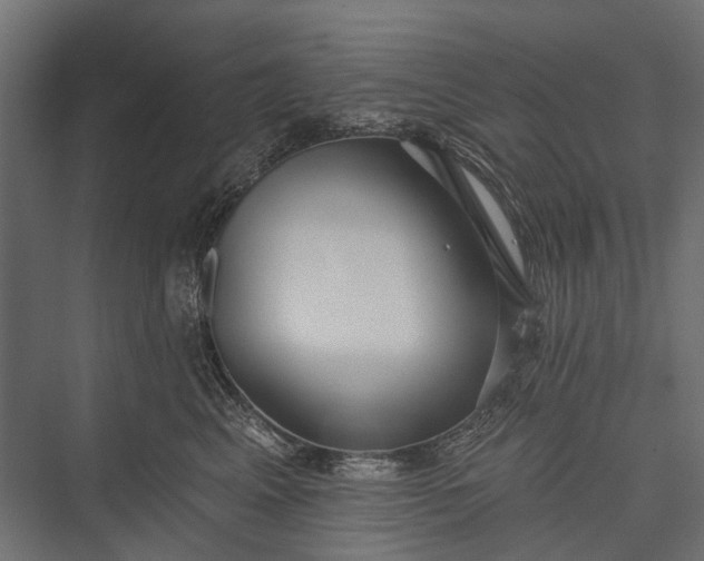 X0000076060617200610061538