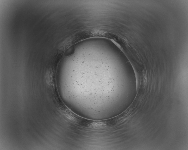 X0000076060619200610061538