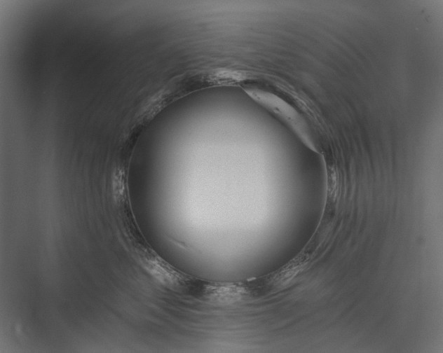 X0000076060621200610061538