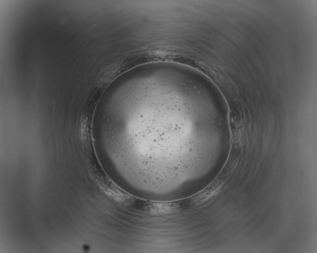 X0000076060623200610061538