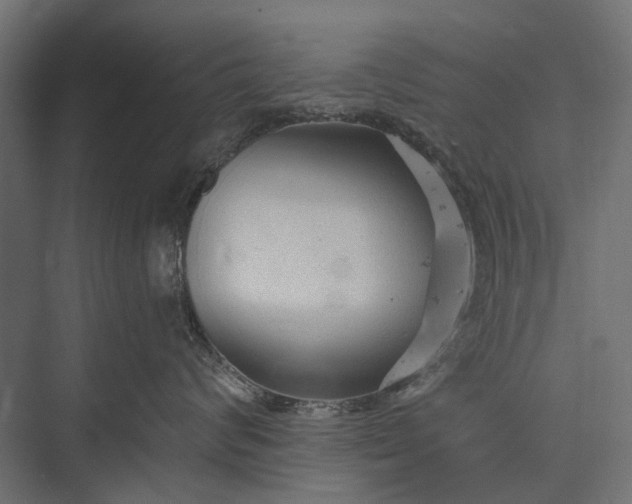 X0000076060624200610061538