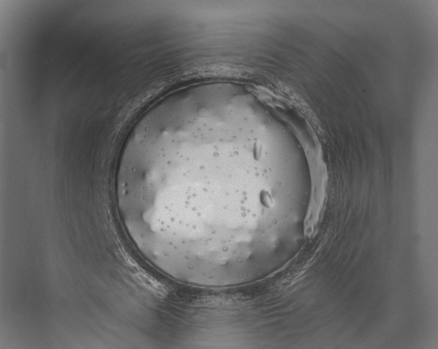 X0000076060625200610061537