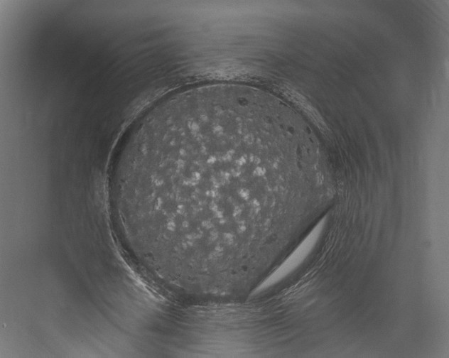 X0000076060626200610061537